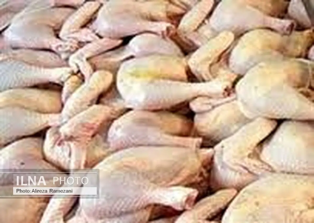ذخیره‌سازی 600 تن گوشت مرغ در خراسان جنوبی