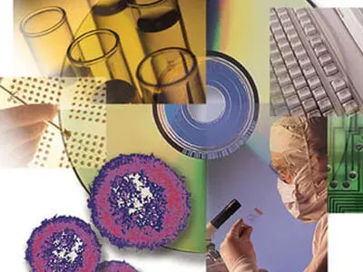 نیاز‌های کالایی دستگاه‌های دولتی از تولیدات داخل استان تامین شود