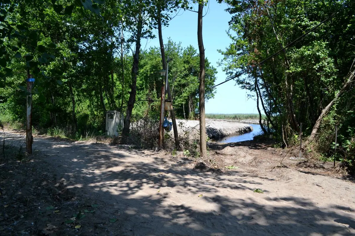 نصب دوربین در ورودی نیمه شرقی پارک ملی بوجاق کیاشهر