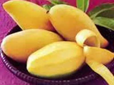 هسته انبه و دانستنی‌هایی درباره آن 