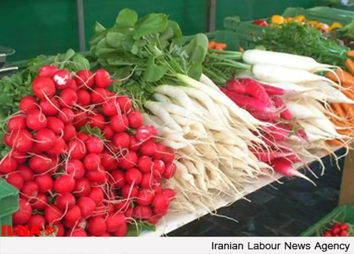 گران‌ترین و ارزان‌ترین محصولات سبزی و صیفی امروز میادین میوه و تره بار/ میزان تغییر قیمت نسبت به پایان ماه گذشته + جدول
