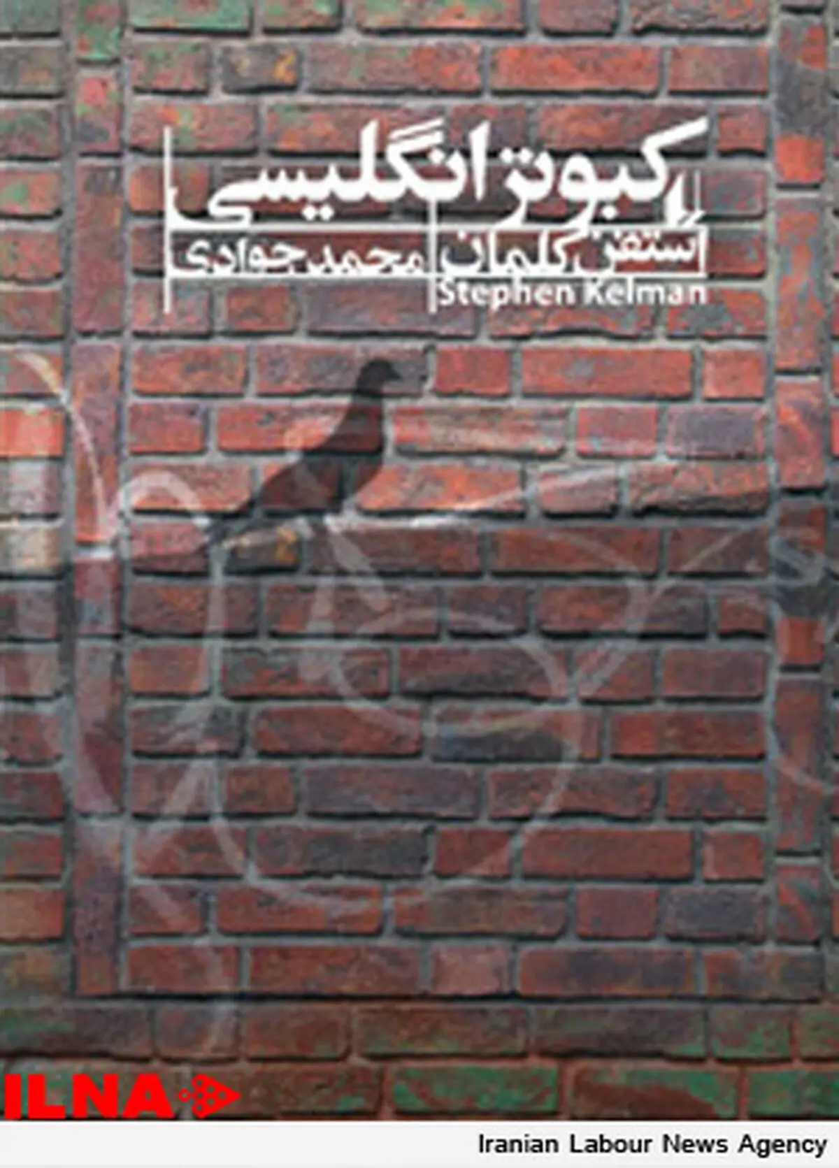 «کبوتر انگلیسی» رونمایی می‌شود