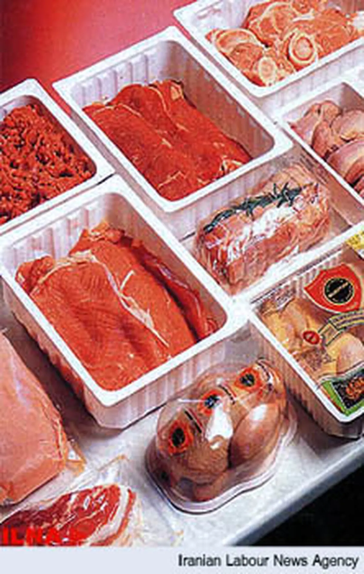 استقبال بالای متقاضیان از مزایده غرف پروتئینی و فروش دام زنده