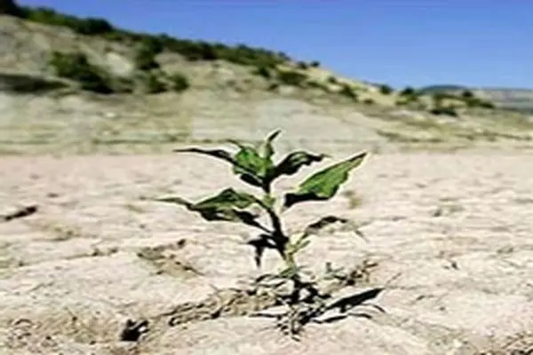 پیش‌بینی‌های لازم در خصوص خشکسالی انجام شده است