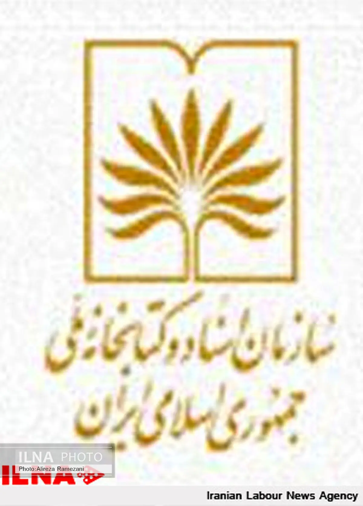 فیپا 18 فروردین صادر شدهاست