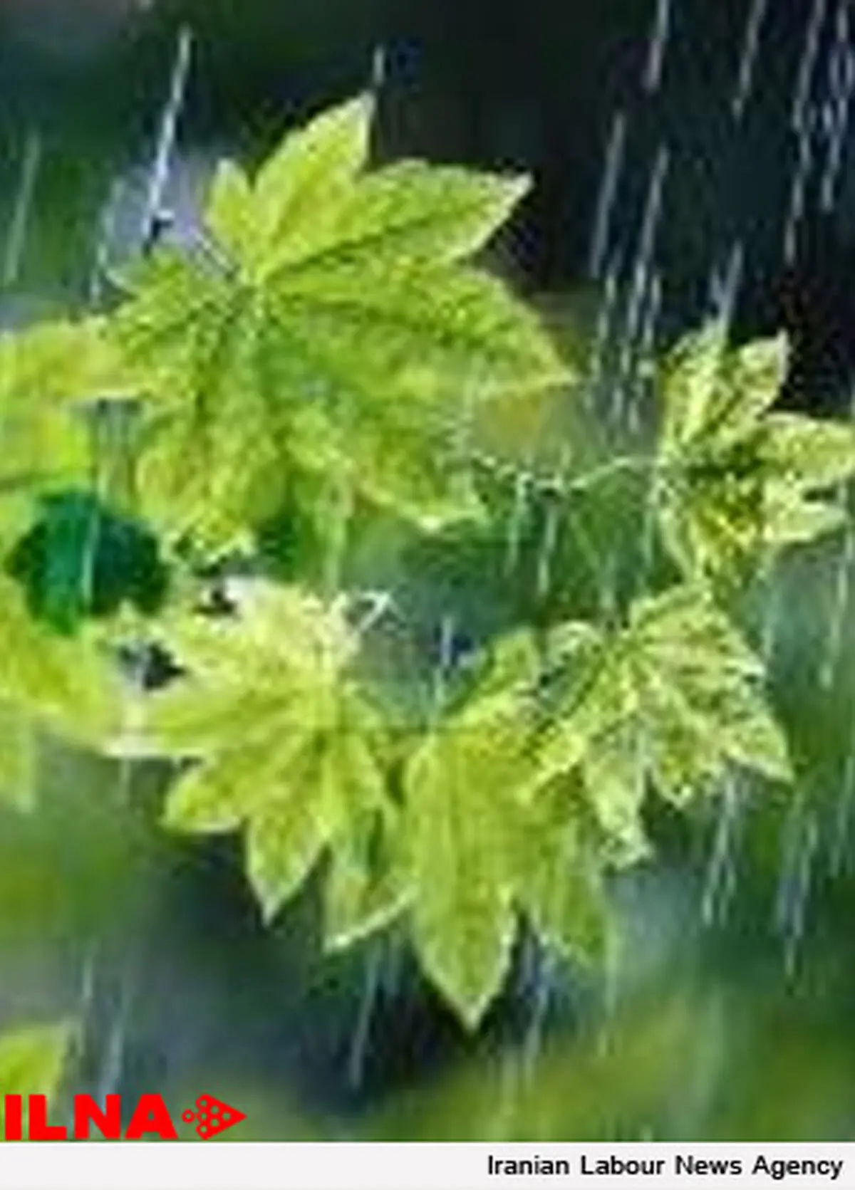 پیش بینی هواشناسی البرز از رگبار باران و باد شدید 
