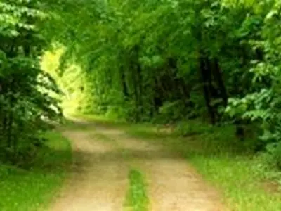 تشدید و نظارت بر عرصه‌های منابع طبیعی از ۲۸ اسفند در تهران