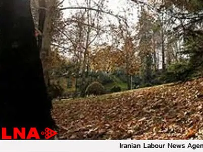 ایجاد ۶۰ هزار هکتار باغ در اراضی مستعد شیبدار