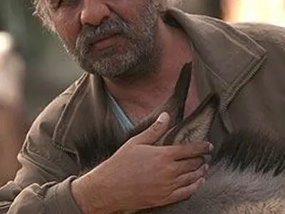 روزی ۲۰ میلیون تومان خسارت توقف فیلم آینه شمعدون است