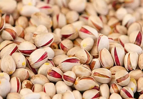 آغاز فرآیند ثبت ملی و جهانی گچ سمنان و پسته دامغان