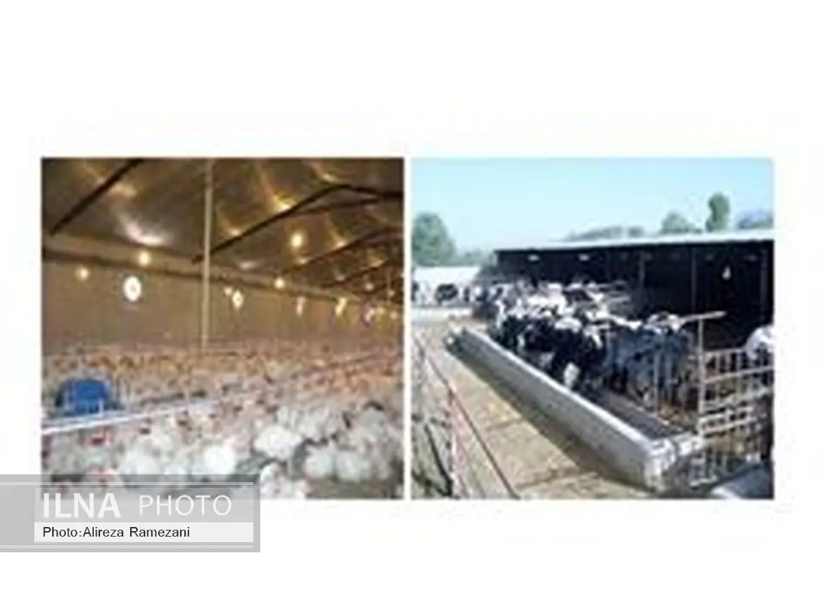 افتتاح یک واحد دامپروری و آبیاری کم‌فشار در قرچک