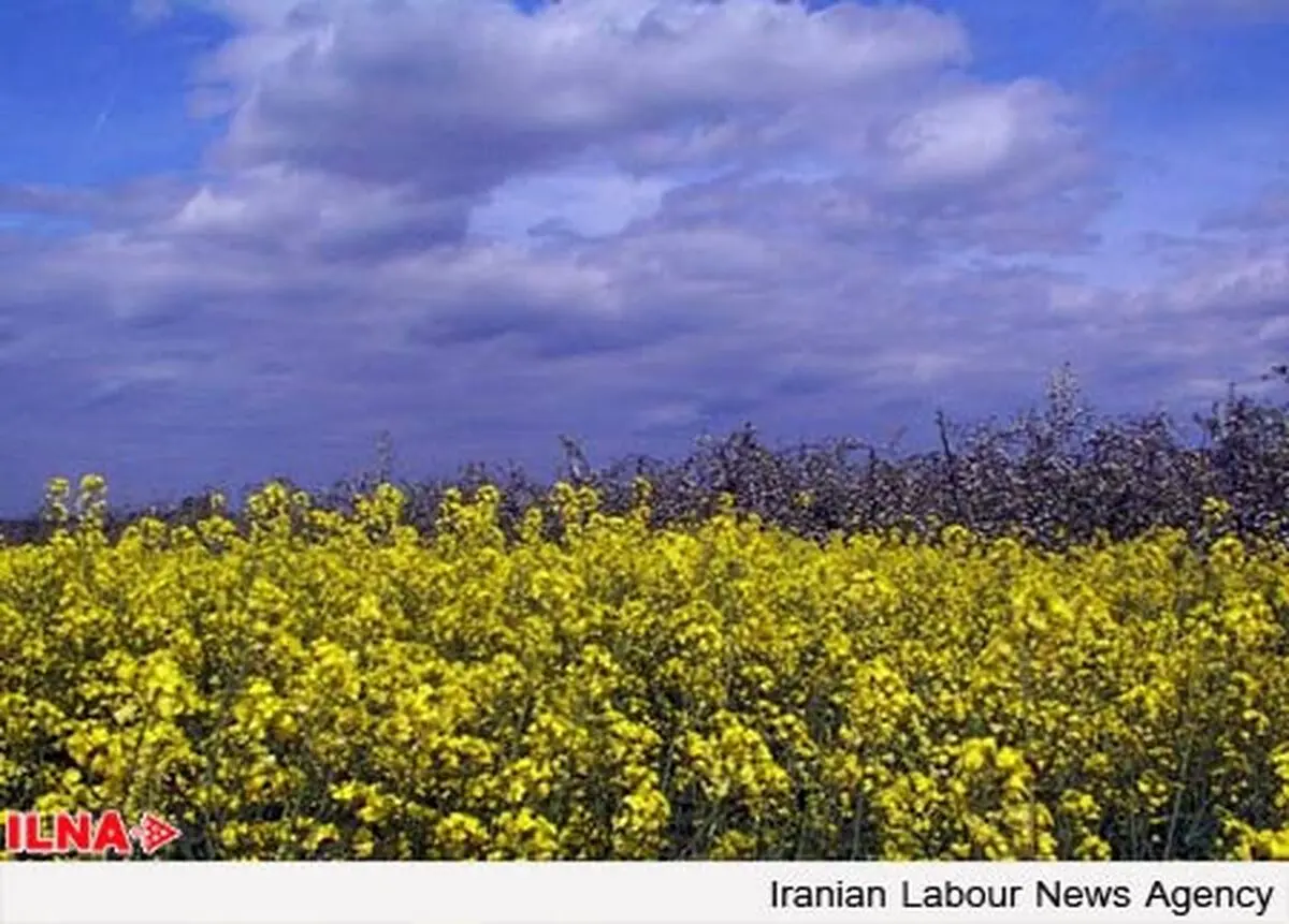 طرح انتزاع لطمات جبران ناپذیری به استقلال صنعتی وارد می كند