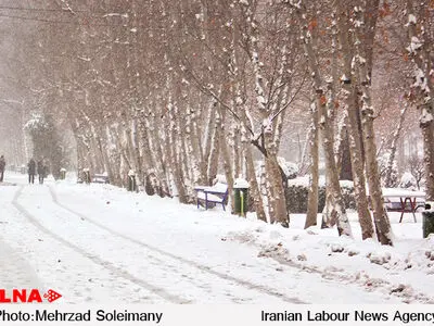 سفید پوش‌شدن برخی مناطق کوهستانی و مرتفع خراسان‌جنوبی