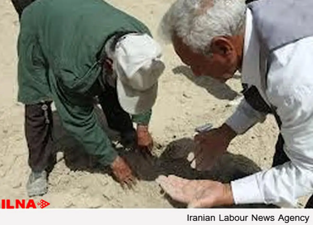 زاینده رود نباشد، نیمی از کشاورزان اصفهان بیکاری می‌شوند