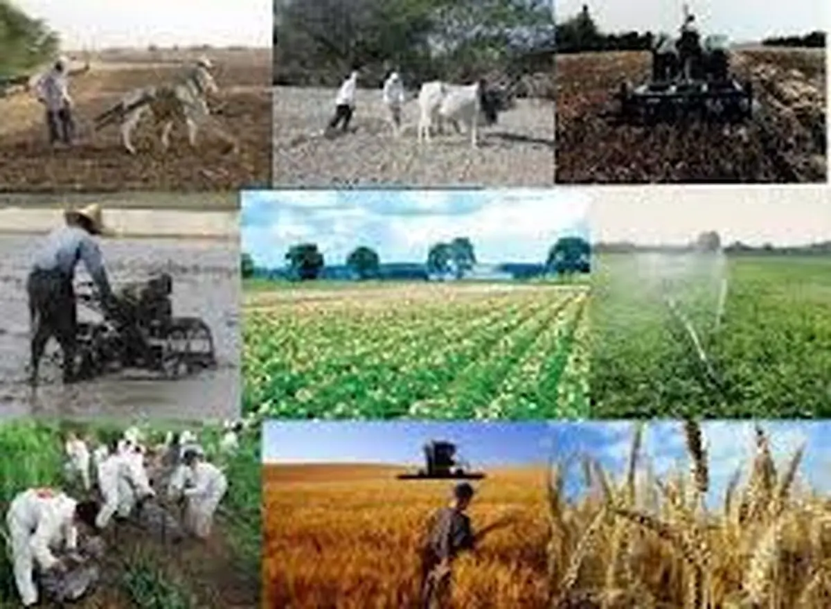 تورم نقطه به نقطه شاخص قیمت تولید کننده زراعت، باغداری و دامداری سنتی ٣٣.١ است
