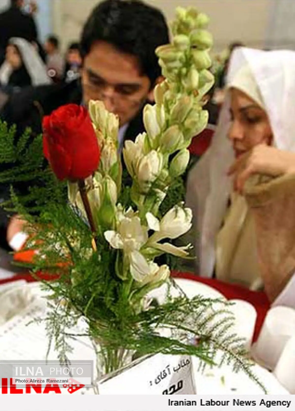 نوزدهمین همایش پیوند گل‌ها در آران و بیدگل برگزار شد