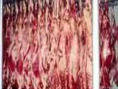 تولید سالانه 31 هزار تن گوشت قرمز در همدان