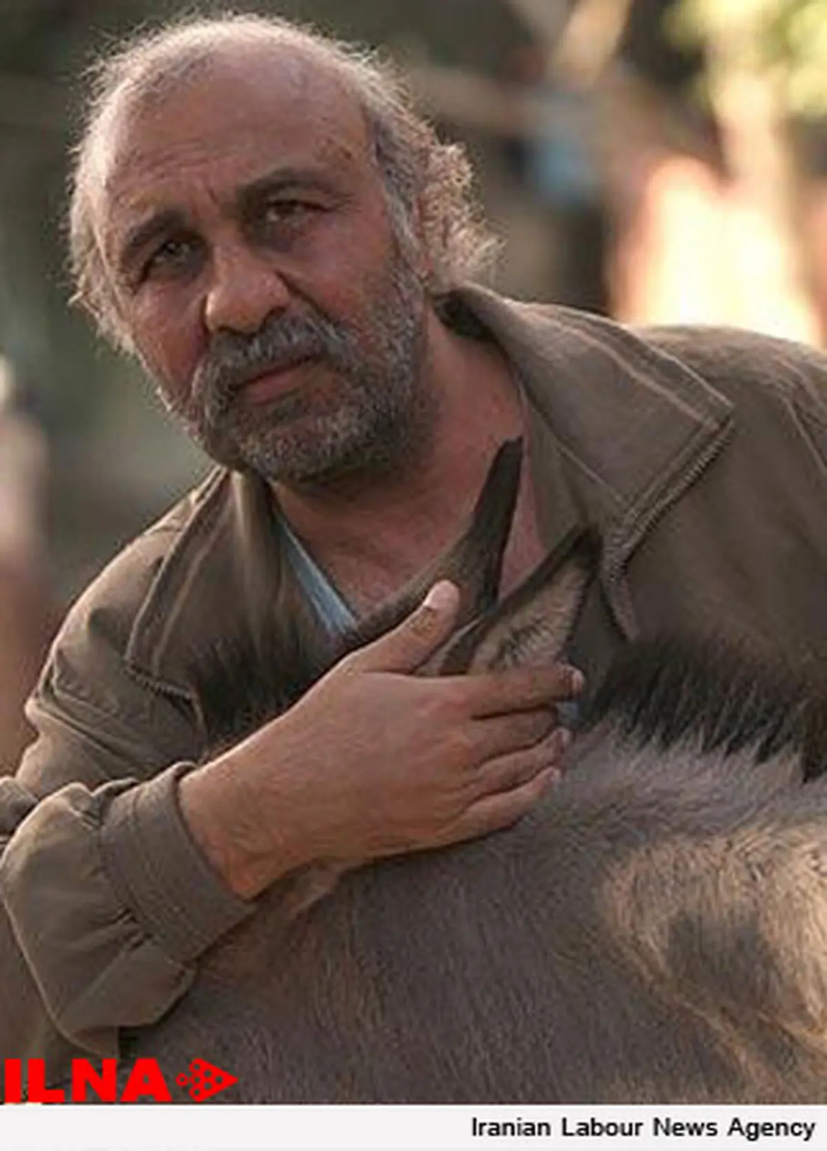 آینه شمعدون نه ضدارزشی است نه ضدنظام
