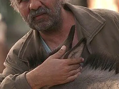آینه شمعدون نه ضدارزشی است نه ضدنظام