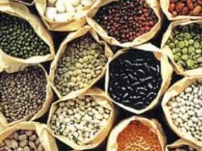 طرح انتزاع امنیت غذایی را به خطر می اندازد