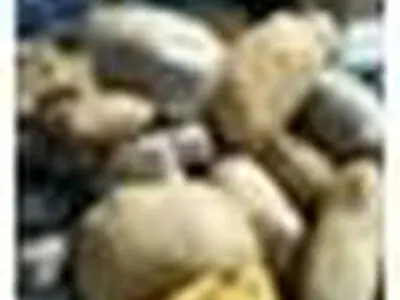 کشف بیش از ۱۲۰ کیلوگرم تریاک در اندیمشک