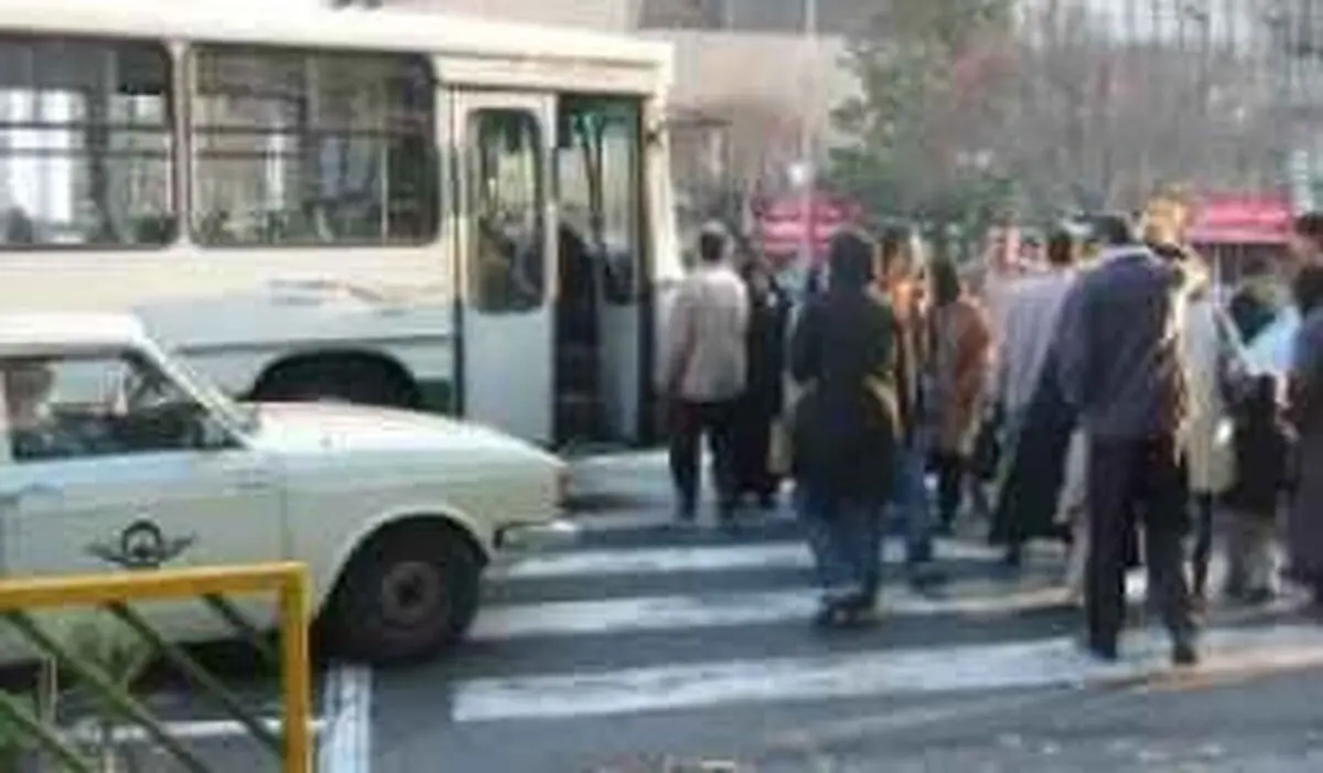 احیای خطوط عابر پیاده با استفاده از چراغ‌های هوشمند/ بیش از 2 هزار قلاده سگ در شهر یزد رها هستند