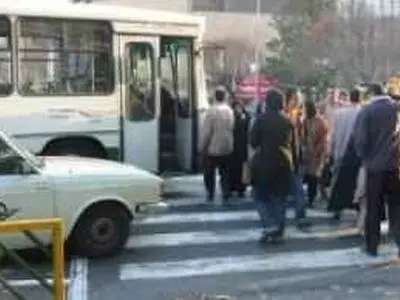 احیای خطوط عابر پیاده با استفاده از چراغ‌های هوشمند/ بیش از 2 هزار قلاده سگ در شهر یزد رها هستند