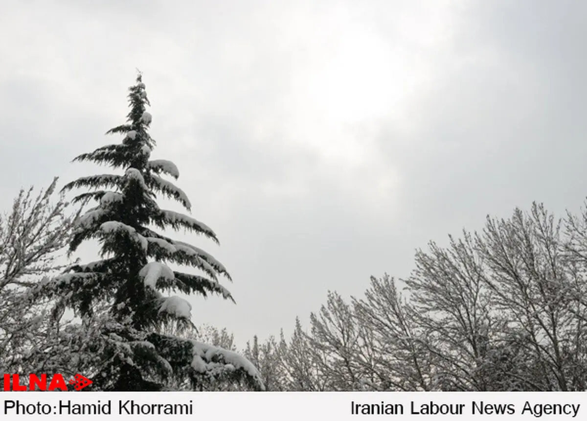 تجهیز 4 دستگاه  کامیون سازمان عمران شهرداری رشت به نمک پاش‌های روز دنیا 