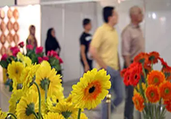 صادرات ۳۰ تا ۴۰میلیون دلاری گل و گیاه زینتی از کشور/ ۹۵ درصد ظرفیت صادرات محقق نمی‌شود