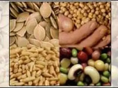 پیش بینی تولید نزدیک به یک میلیون تن غلات در همدان
