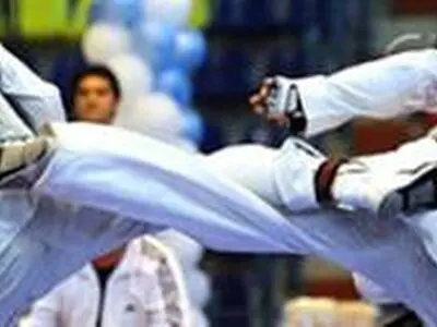 البرز قهرمان رقابت های کاراته کشوری سبک شوتوکان  WSKf