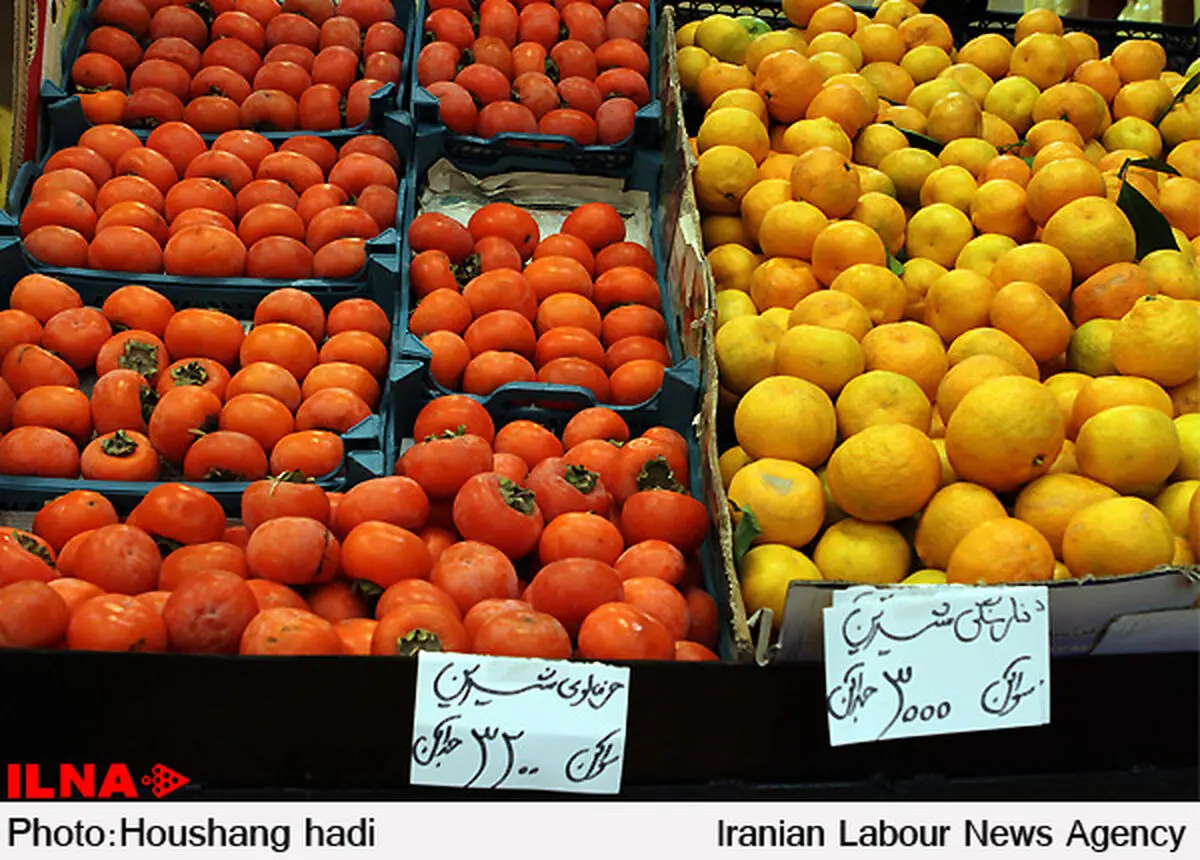 ۱۲۰ میدان و بازار میوه و تره بار استاندارد تشویقی دریافت کردند