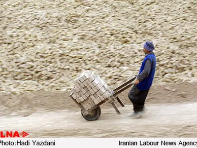 کارگران فصلی خانوادگی روزی ۱۵ ساعت كار می‌كنند