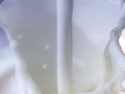 بررسی وضعیت تولید و دریافت شیرخام طی ۲روز آینده در کارگروهی ویژه