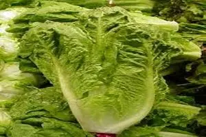 کاهو صدرنشین پرخطرترین ماده غذایی خام