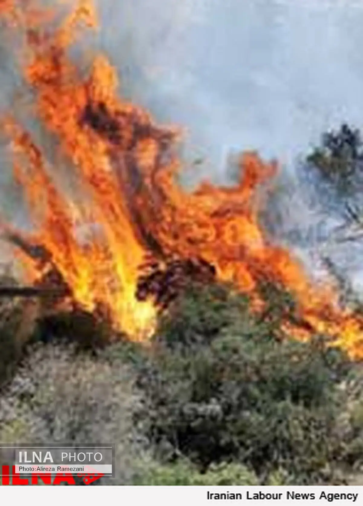 آتش‌سوزی 20 هکتار از مراتع روستای آقداش