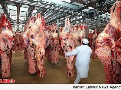  قیمت گوساله زنده و انواع گوشت گوساله امروز ۹ آبان ۱۴۰۳ 