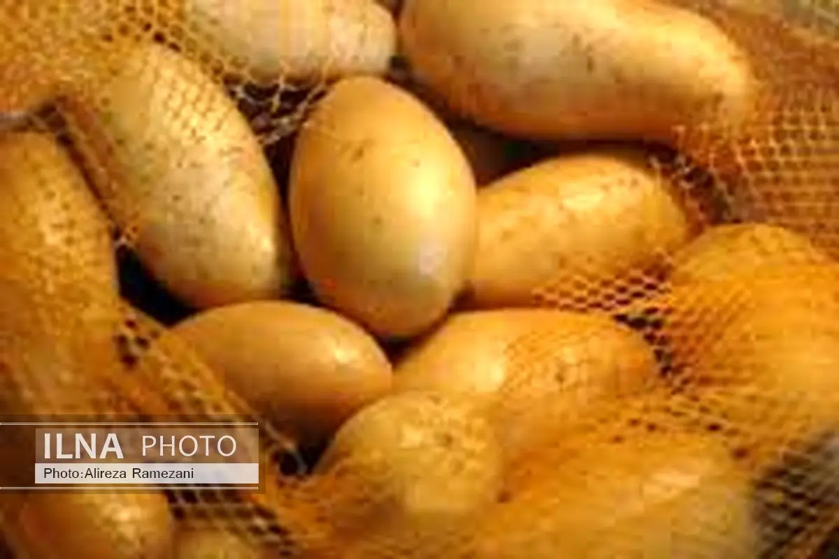 سیب‌زمینی را حتما با پوست بخورید 