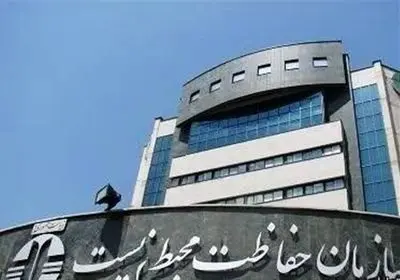 ممنوعیت صید کوسه و سفره ماهی در خلیج فارس