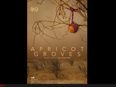 رونمایی از اولین پوستر فیلم سینمایی «باغ‌های زردآلو»