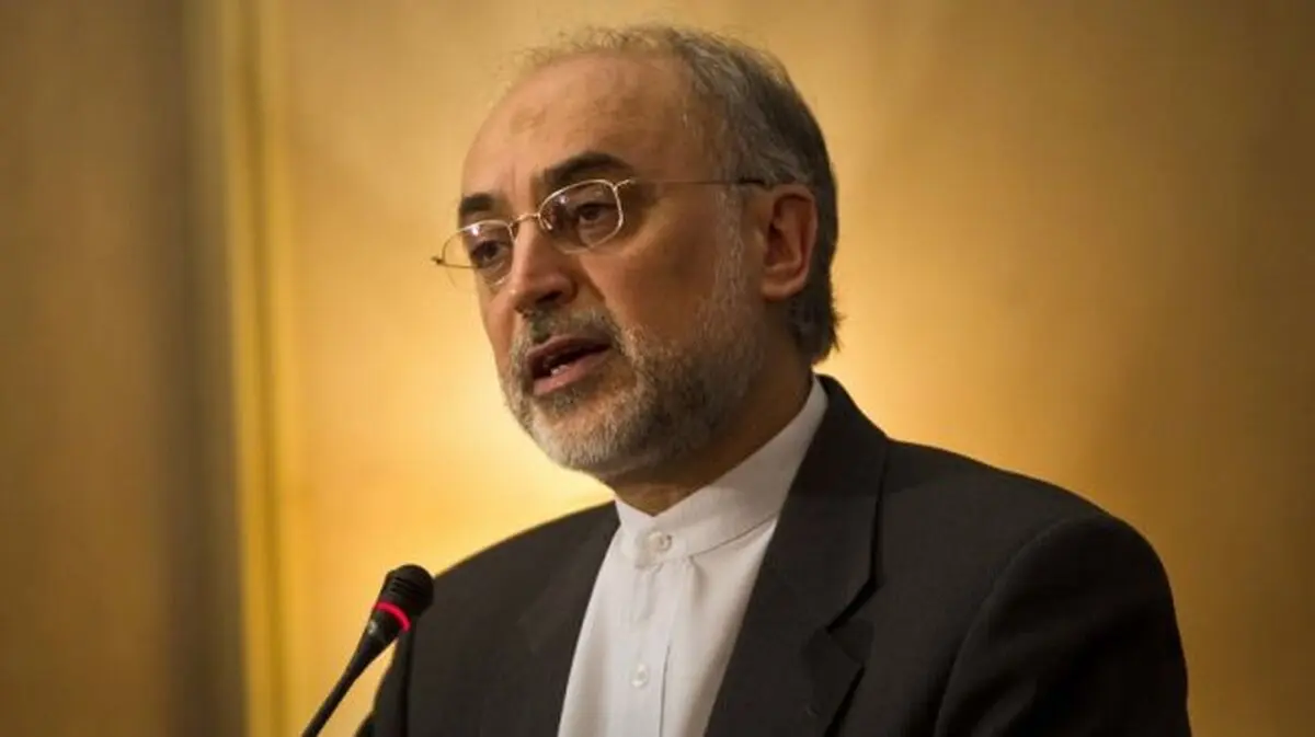 AEOI Chief deplores E3 statement about Dispute Resolution Mechanism
