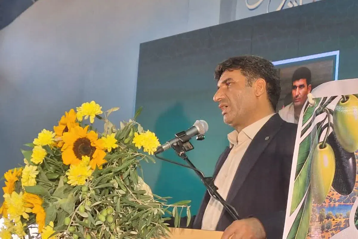 طارم سفلی از کم‌آبی و آفت زیتون رنج می‌برد
