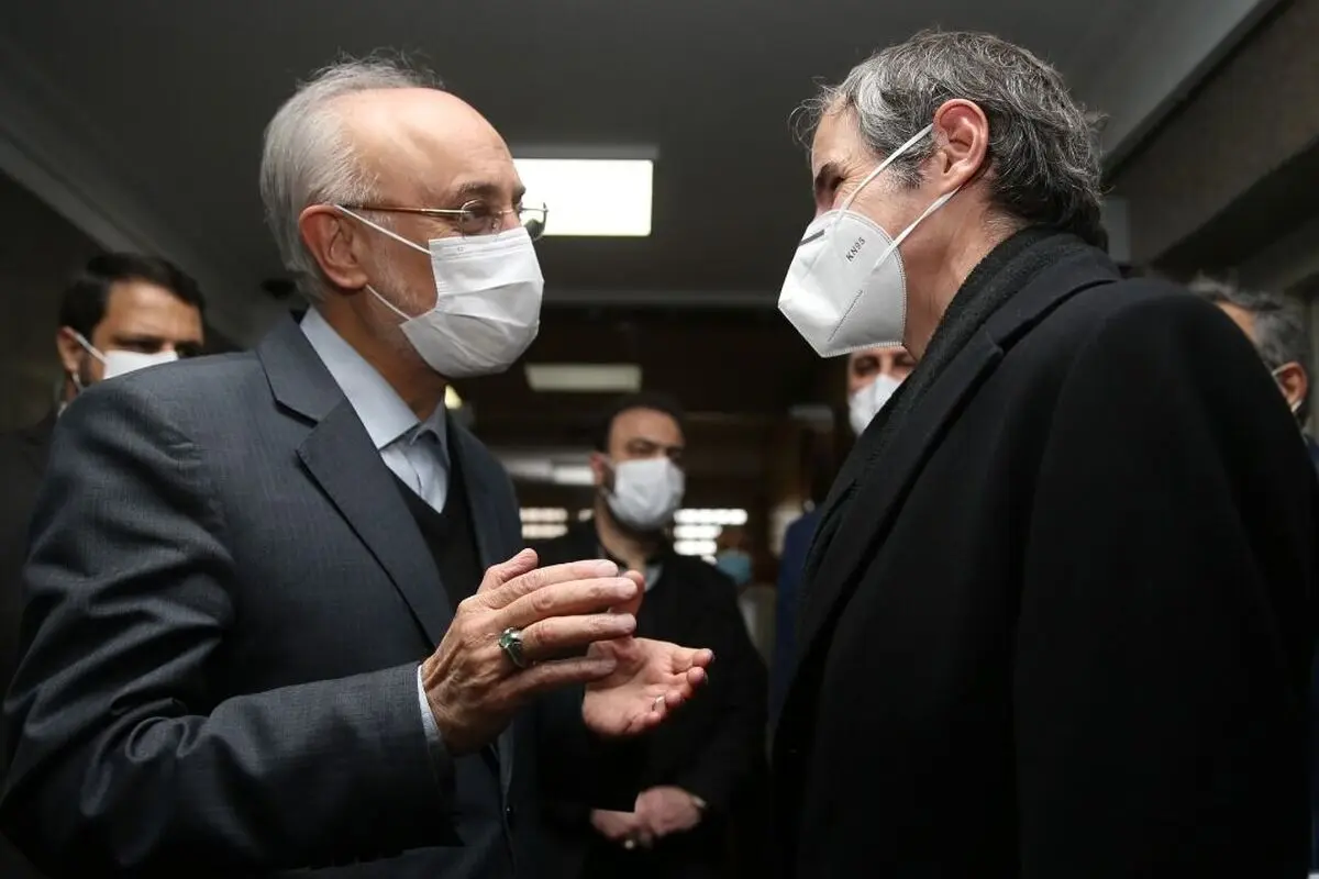 Salehi and Rafael Grossi meet in Tehran