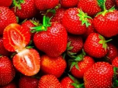 فوت و فن فریز کردن توت فرنگی 