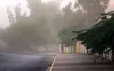 وزش باد اردبیل را در می نوردد