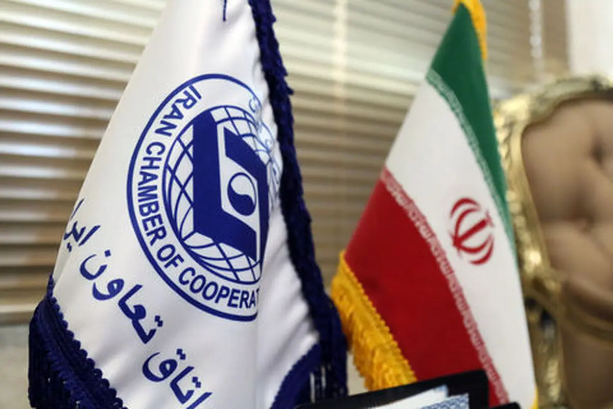 دولت‌مردان به بخش تعاون توجه کمتری دارند