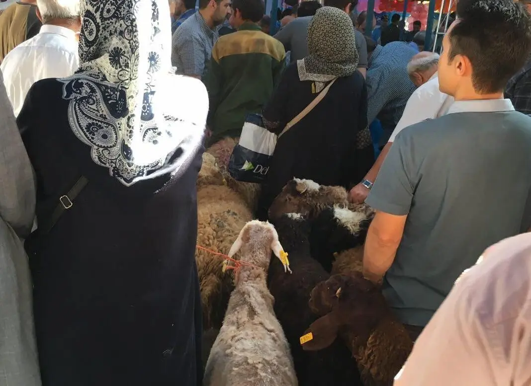 روز پر رفت‌ و آمد کشتارگاه‌های سطح شهر تهران