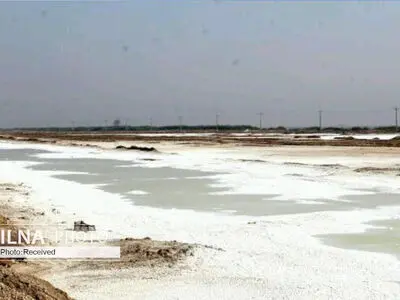 زنده کردن کویر مرکزی ایران به قیمت نابودی جلگه خوزستان/ از بین رفتن ۷ میلیون نخل در ۲۰ سال گذشته و عدم توجه رسانه‌ها به آن/ احتمال کوری مردم منطقه با افزایش ریزنمک‌ها 