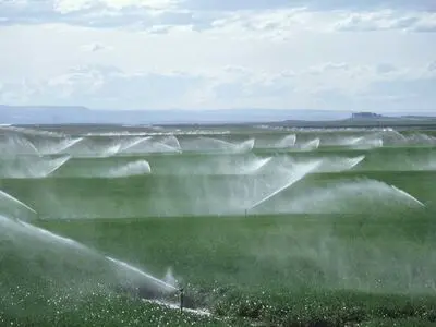 بهره‌برداری و آب اندازی بخش زیادی از  مزارع استان کرمانشاه