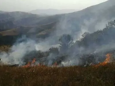 مهار آتش سوزی در منطقه حفاظت شده جهان نما توسط محیط بانان